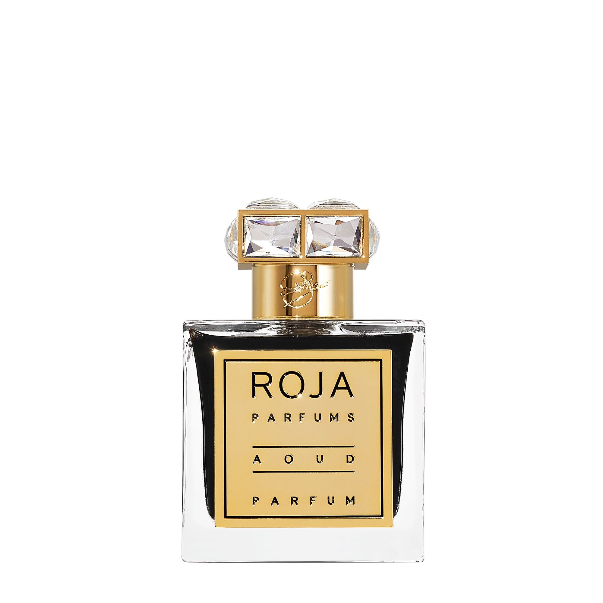 erotisk Genbruge røveri Roja Parfums | Aoud Parfum - 100ml