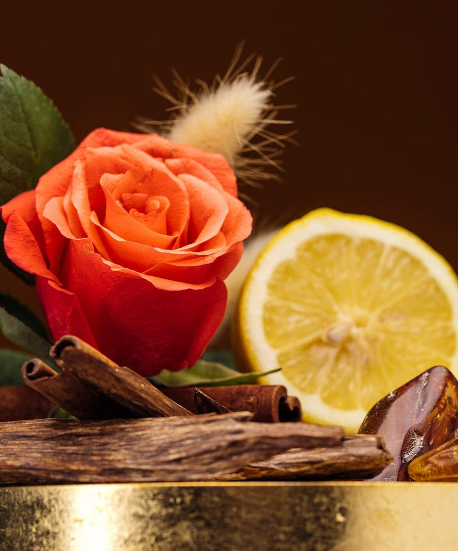 Aoud CRYSTAL™️ Fragrance Roja Parfums 